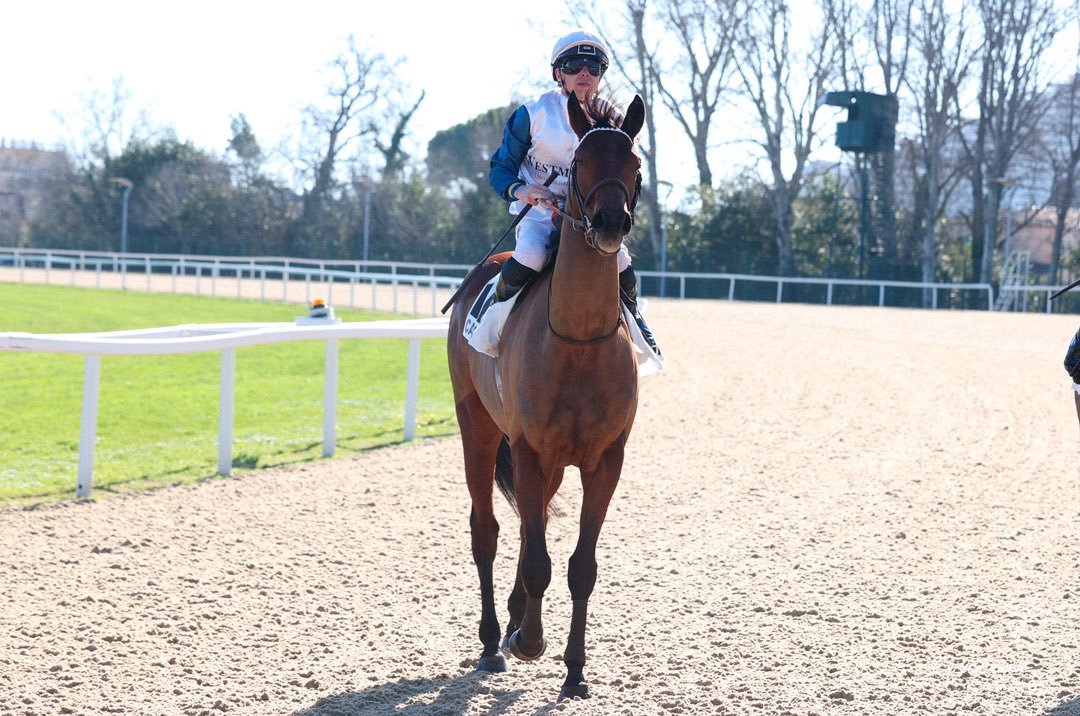 Henri-Alex Pantall (@alexpantall) on Twitter photo Winner at Cagnes for Westminster Race Horses SP Zoo ๐ฅ
<a href="/AlexPantall/">Henri-Alex Pantall</a>
GOOD GIFT (G6) Wind Prix du Var ๐
Jockey <a href="/piccone_tony/">Piccone Tony</a>
Photos Couleur Casaques Winner at Cagnes for Westminster Race Horses SP Zoo ๐ฅ
<a href="/AlexPantall/">Henri-Alex Pantall</a>
GOOD GIFT (G6) Wind Prix du Var ๐
Jockey <a href="/piccone_tony/">Piccone Tony</a>
Photos Couleur Casaques