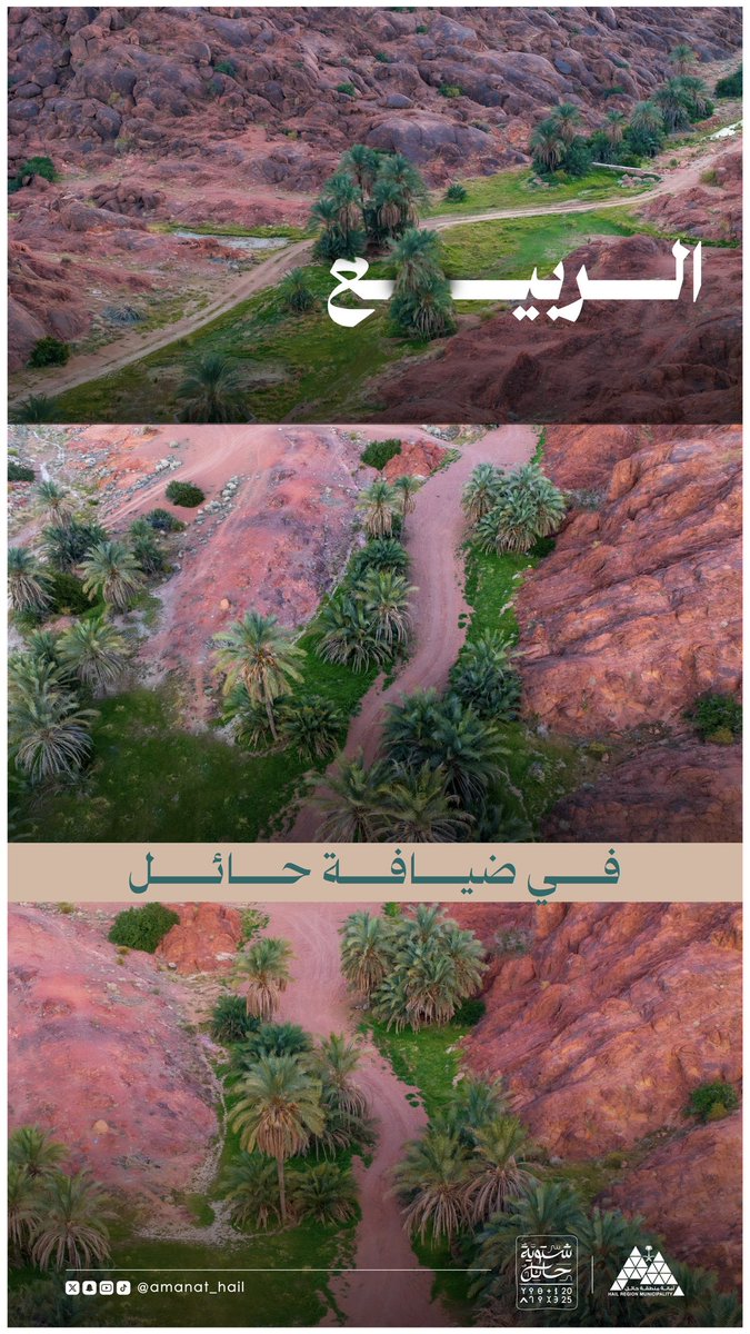 🌿 | طبيعة 

الـربـيـع 🌴
في ضيافة حائل 🍃

📸 | #حائل_الأجمل
#أمانة_منطقة_حائل