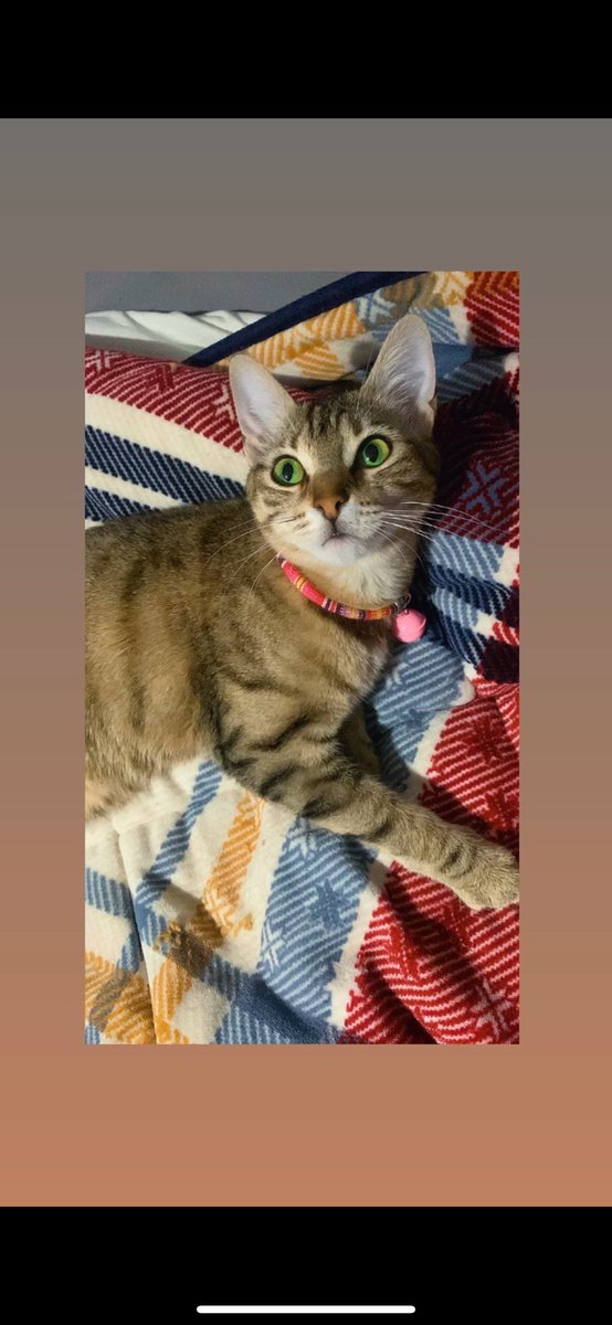 Büyük kızımı sokaktan bu küçük prensesimi de depremde koydum cebime getirdim varmı hala gtünde yanık İsmail