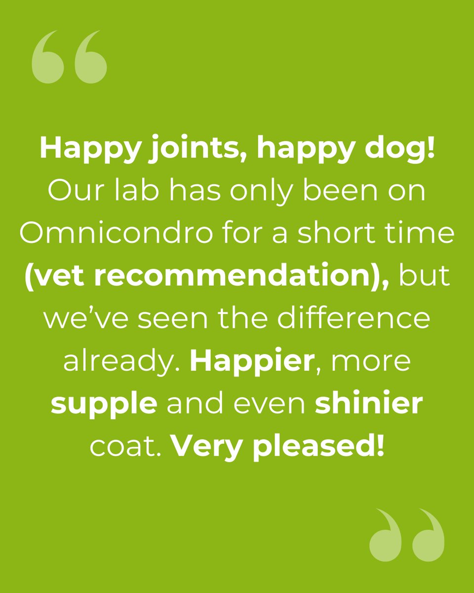 vitapethealth's tweet photo. Your clients will love Omnicondro!

✅ Contains market-leading levels of glucosamine and chondroitin
✅ Highly palatable and easy to give
✅ Backed by science 
✅ Available on a Vita2U subscription

Find out more about Vita2U here 🔗 https://t.co/dg7ePY83bK https://t.co/n61T1aFPQE