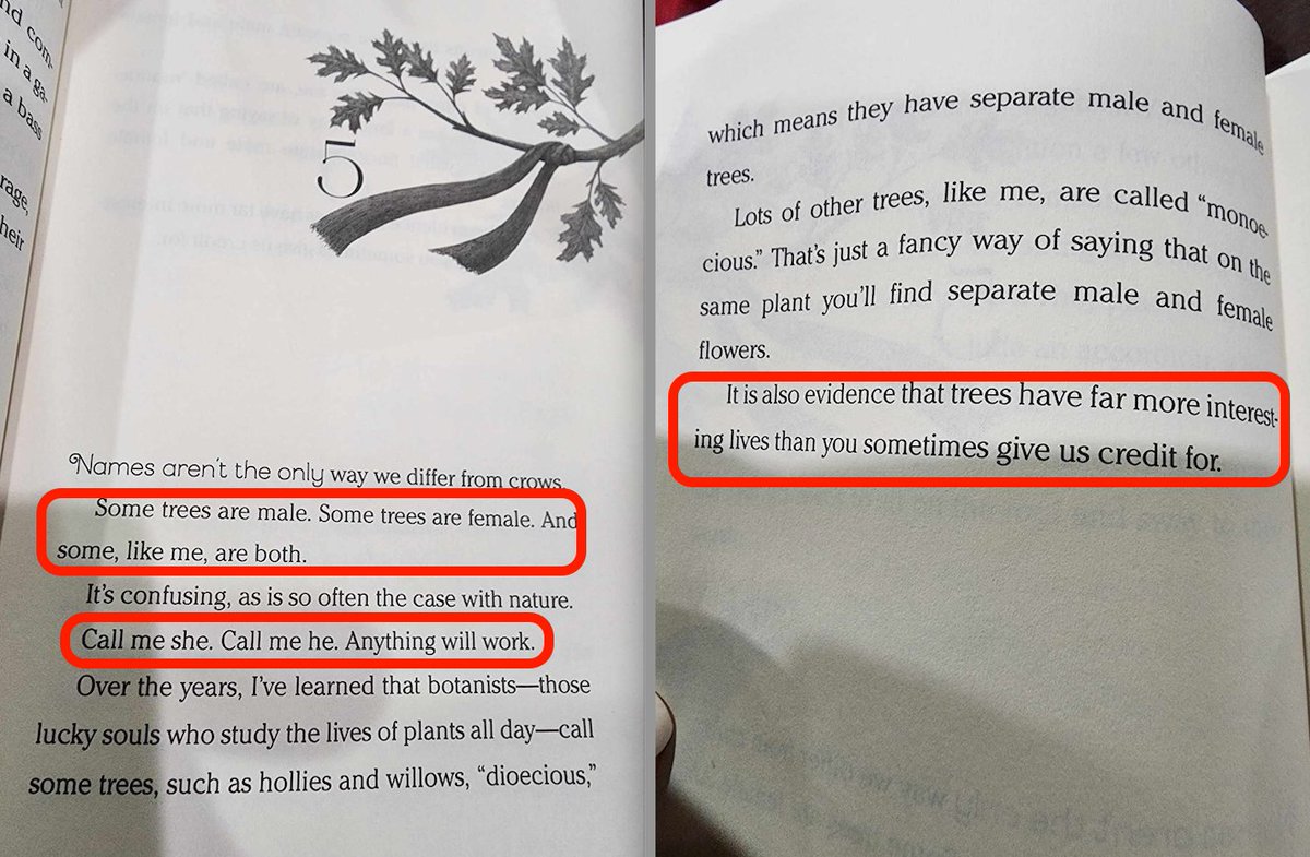 JohnGalt_MAGA's tweet image. This alone is reason enough to abolish the Department of Education. My SEVEN year old son was given this book for his school&apos;s &quot;One School One Book&quot;  reading schedule. How is this not grooming, and okay for a 7 year old??

@elonmusk @realDonaldTrump @POTUS @catturd2  #Politico