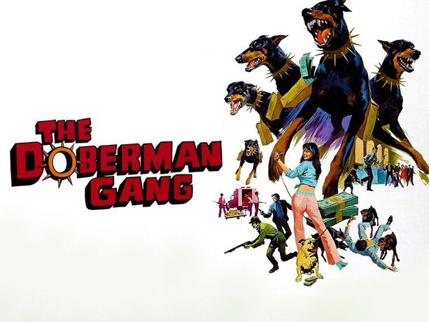 FanacekPodcast's tweet photo. I had a great time rewatching this gem from 1972.  Have you seen it?  Any thoughts? #thedobermangang #70s #bankrobbers @DriveInMovieExp @Films_Alfresco https://t.co/HrmYOWF9Sf