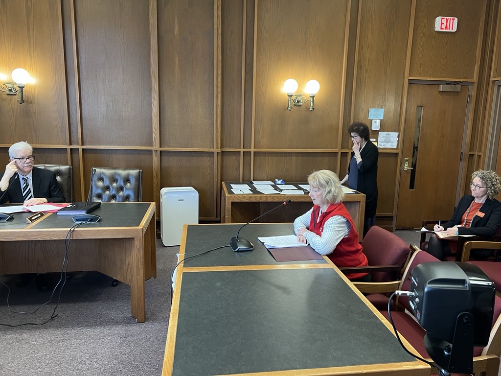 AARPNH's tweet photo. 📣 @AARPNH is hitting the NH State House hard this week! Here's our awesome volunteer Mary testifying in support of SB122 which seeks to expand eligibility for the #Medicare Savings Programs. #nhpolitics #AARPAdvocates https://t.co/Bsfv2DN2Fx