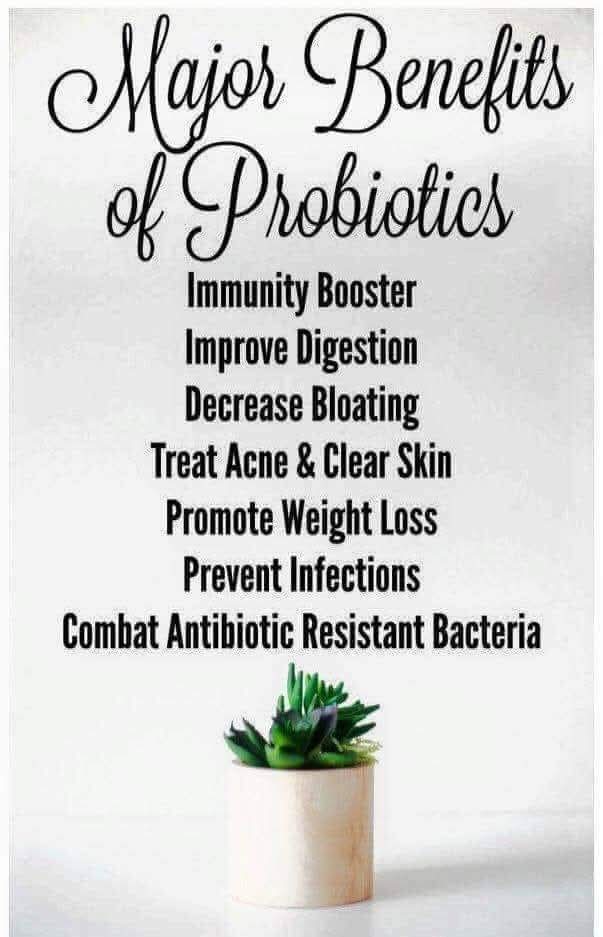 NataschaShaver's tweet image. Many doctors believe probiotics are the most important supplement you can take! Everyone should be taking a daily probiotic supplements, hands down. 
shopmyplexus.com/nataschamshaver

#probio5
#healthygut
#probiotics 
#plexuschangeslives