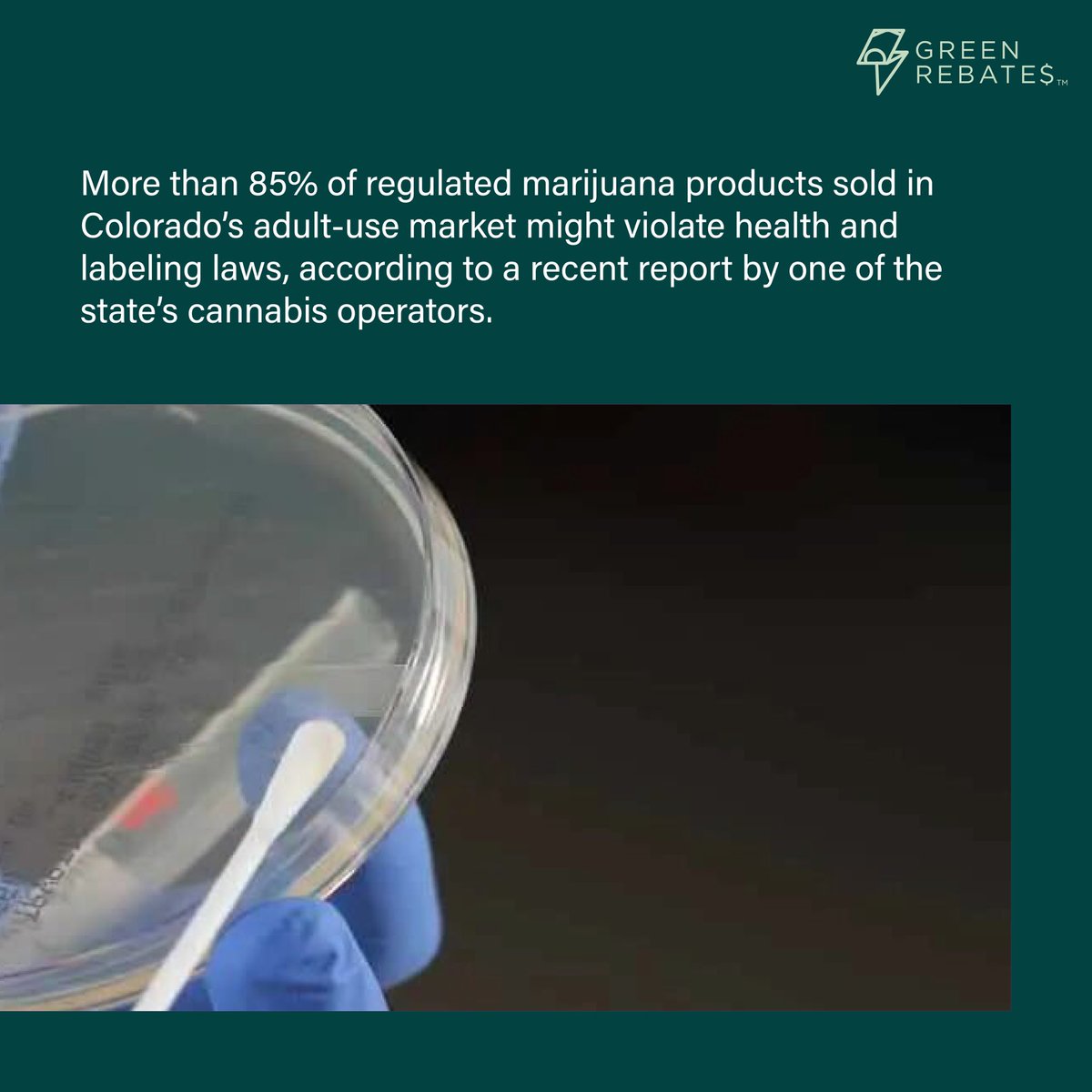 More than 85% of regulated products in Colorado’s adult-use market may not meet health and labeling standards, according to a recent report from Colorado-based company Ripple.

Read the full story at the link in our bio 🔗

#CannabisNews #ColoradoCannabis #HealthAndSafety
