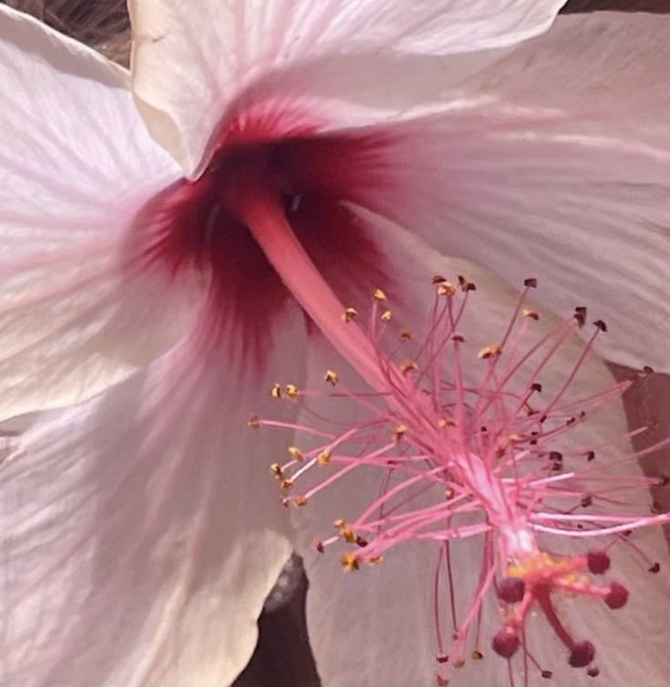 Ƹ̵̡Ӝ̵̨̄Ʒ　Esqueça  a  jornada  dos  outros  Ƹ̵̡Ӝ̵̨̄Ʒ　 
                            ⚮̈ ~ ~
Ƹ̵̡Ӝ̵̨̄Ʒ　#loatwt &amp; #ndtwt  Ƹ̵̡Ӝ̵̨̄Ʒ