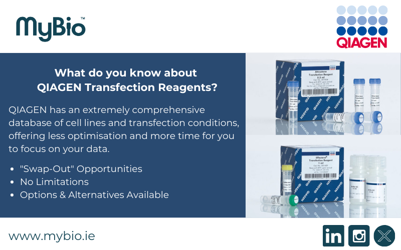 MyBio Europe (@mybioltd) on Twitter photo "Swap-out" opportunities for transfection reagents!
<a href="/QIAGENscience/">QIAGEN Life Sciences</a> provides a database of cell lines & transfection conditions, offering ⬇️ optimisation & ⬆️ time to focus on data
Try a sample? eu1.hubs.ly/H0gpvC50
#transfection #reagents #qiagen #options #alternative #support "Swap-out" opportunities for transfection reagents!
<a href="/QIAGENscience/">QIAGEN Life Sciences</a> provides a database of cell lines & transfection conditions, offering ⬇️ optimisation & ⬆️ time to focus on data
Try a sample? eu1.hubs.ly/H0gpvC50
#transfection #reagents #qiagen #options #alternative #support