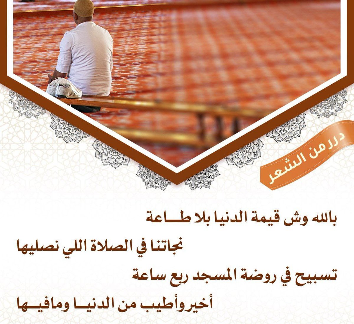 محمد الخرشان tweet media