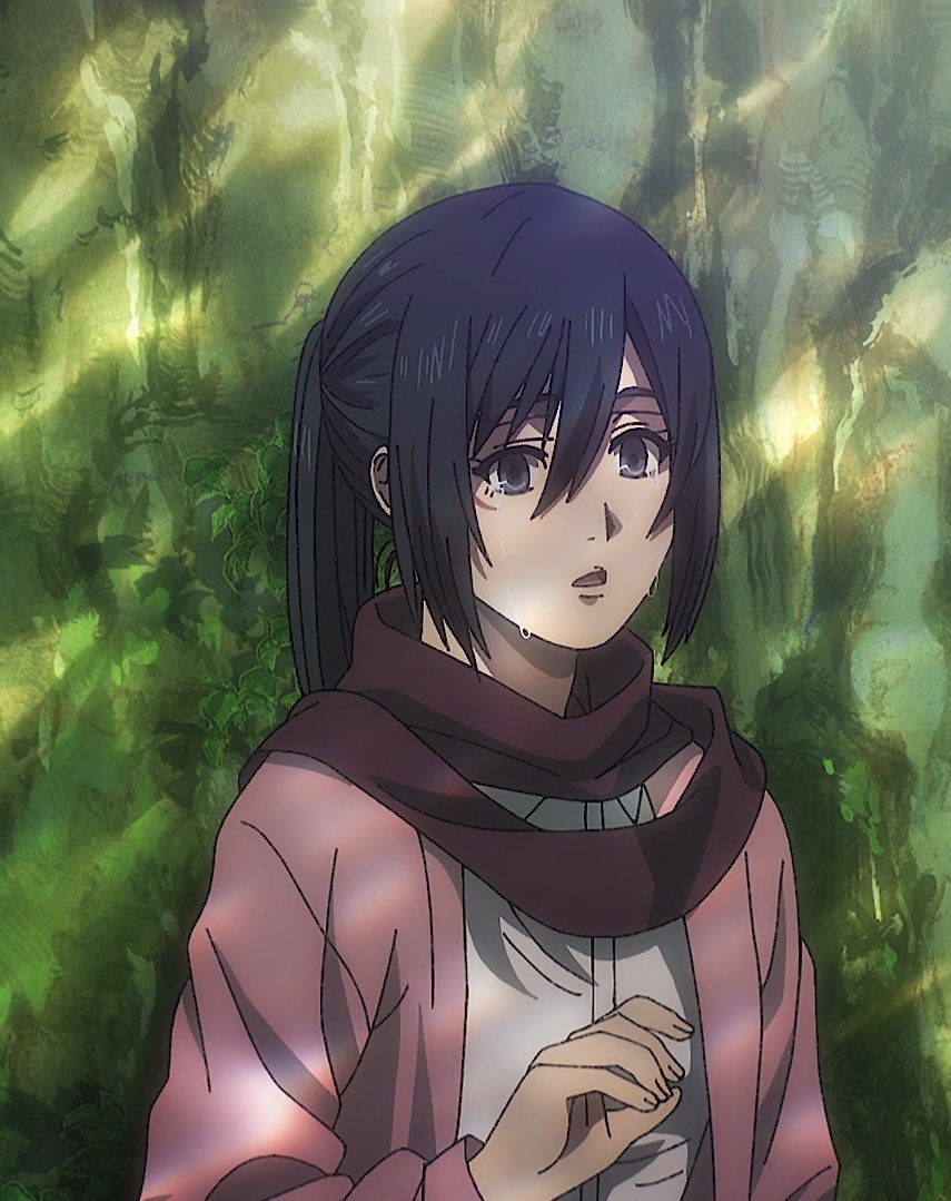 mikasagallery's tweet image. Mikasa is the most beautiful character to ever exist