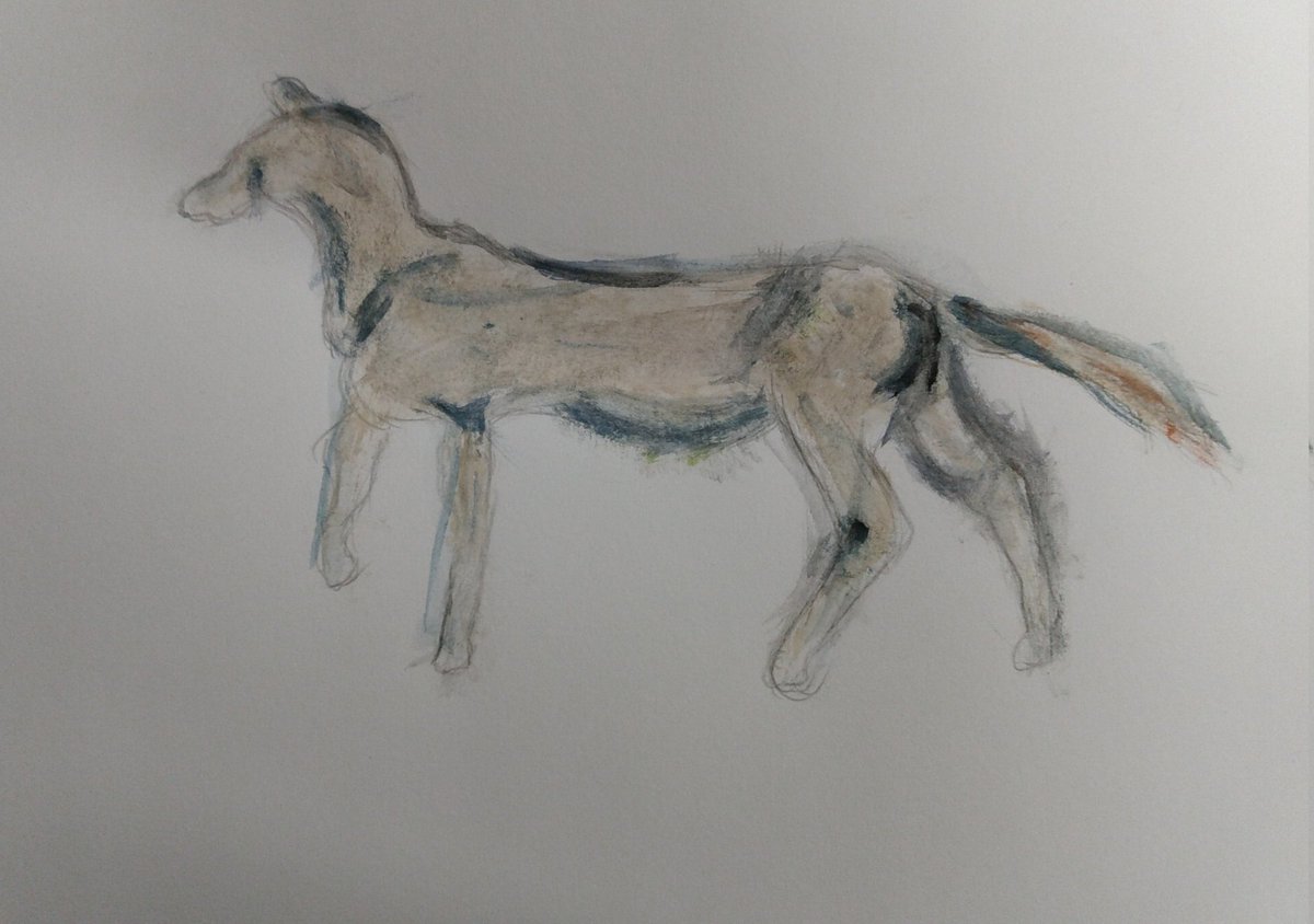 St Christopher Primary tweet media