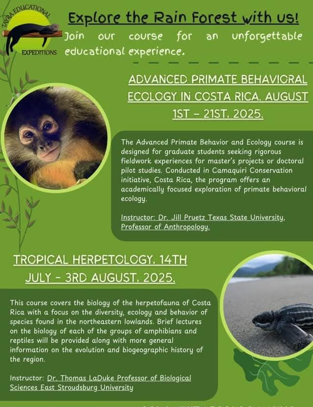 camaquiri's tweet photo. Explore the Rain Forest with us!  💚🌺
Travel, learn and connect with our biodiversity!🌳🦥🐒🍃

These are our courses for 2025. 📚 

#Tayra #travel #education #courses #adventure https://t.co/x7JnEn2UWT