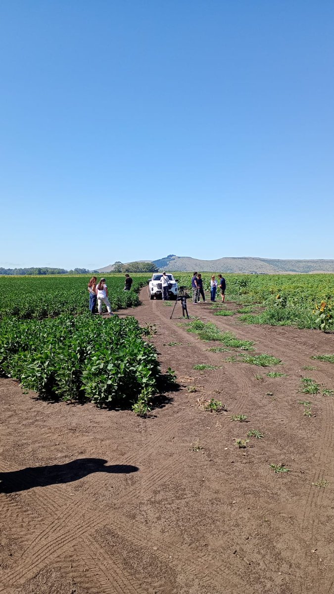 Agropack tweet media