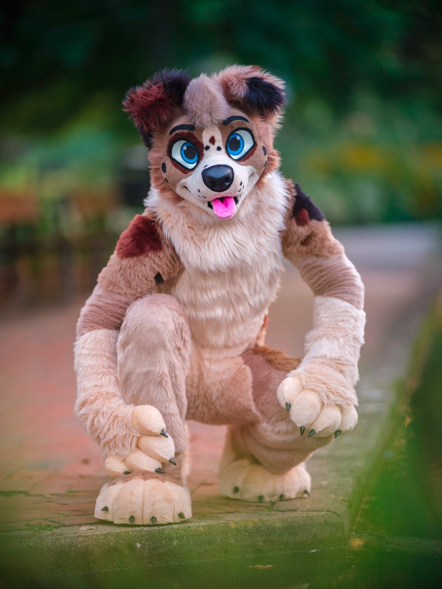 Aussies are the fluffiest dogs!

🧵<a href="/AlphaDogsStudio/">Alpha Dogs</a>
📷<a href="/CaptainChaotika/">🌻 混沌的隊長 ➡️ TFF, AC, EF</a>
