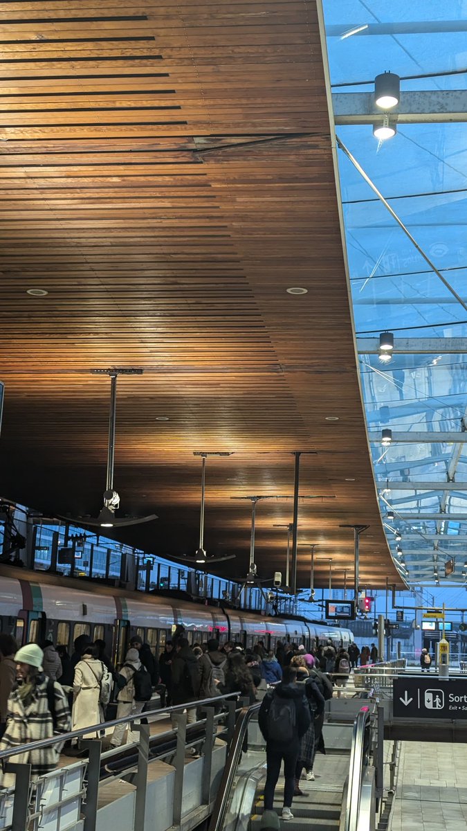 Alex Wackii tweet media