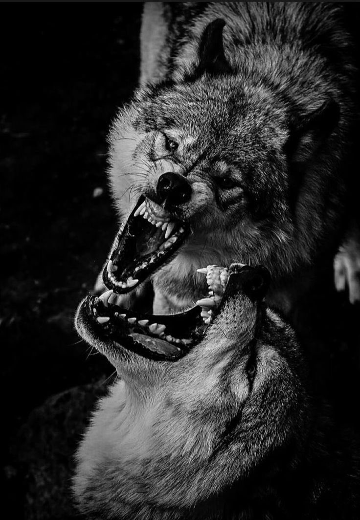 reXchillect's tweet photo. https://t.co/FHsXBMhIAw