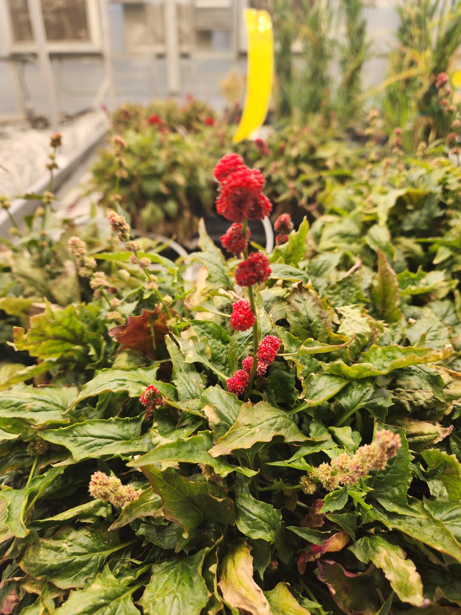 Breanne Tidemann tweet media