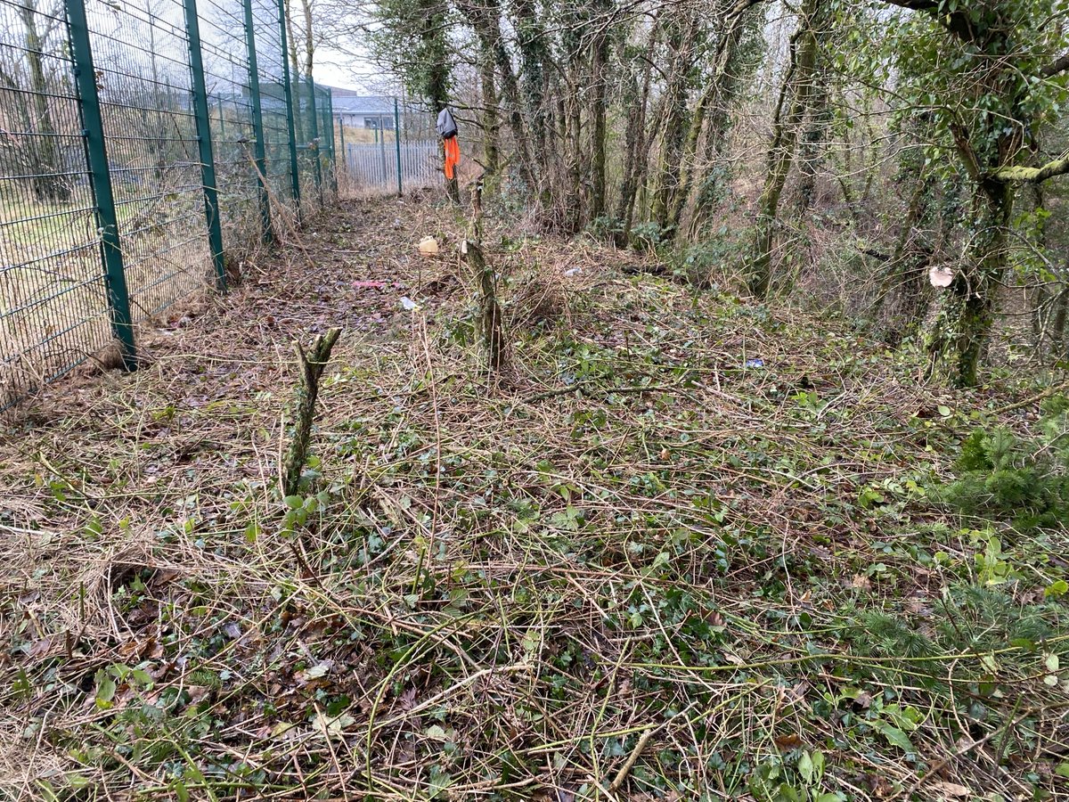 DyfedPowysUnpaidWork (@dyfedpowyscp) on Twitter photo Kevin and his team have been carrying out some pitch maintenance for <a href="/YstradgynlaisFC/">Ystradgynlais AFC</a> today. Cutting back the brambles before the spring growth. Kevin and his team have been carrying out some pitch maintenance for <a href="/YstradgynlaisFC/">Ystradgynlais AFC</a> today. Cutting back the brambles before the spring growth.