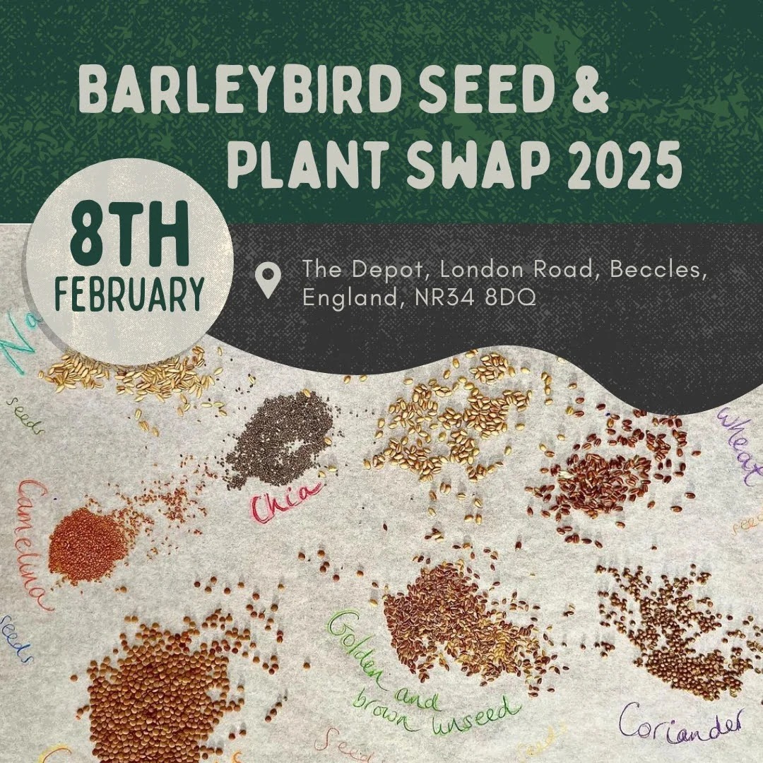 Mark Watson tweet media