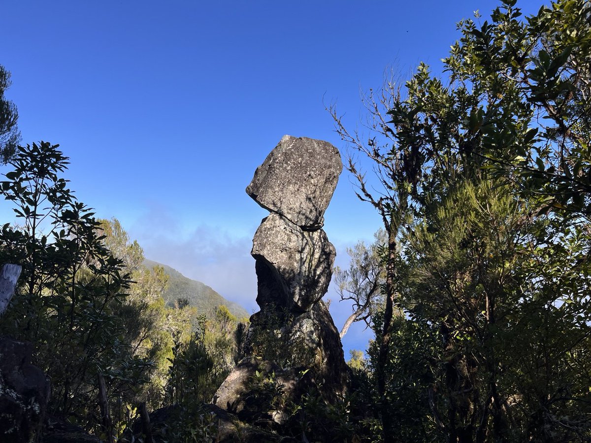 reflectionwalks's tweet image. Auf einer der Wanderungen mit einem Kunden, der seine Biografie in den Fokus genommen hat, sind wir an dieser Steinformation vorbeigekommen. Das hat den Kunden daran erinnert, wie ihn das Zusammenleben mit bestimmten Mitmenschen dazu ermutigt hat, seinen individuellen Lebensweg…