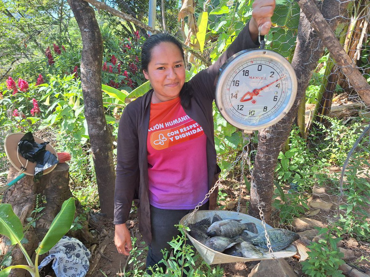 ¡¡𝑪𝙤𝒔𝙚𝒄𝙝𝒂𝙨 𝙦𝒖𝙚 𝙩𝒓𝙖𝒏𝙨𝒇𝙤𝒓𝙢𝒂𝙣 𝙫𝒊𝙙𝒂𝙨!! 
Nos llena de alegría ver cómo las participantes del proyecto "Acción Temprana Comunitaria Centroamérica" han logrado Cosecha de tilapias. ¡Sigamos impulsando soluciones que fortalezcan el desarrollo comunitario!