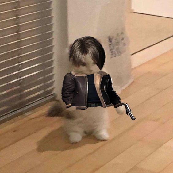 ChasingRPD's tweet photo. Leon meownnedy for your Wednesday fyp !! https://t.co/gszni1LPqN
