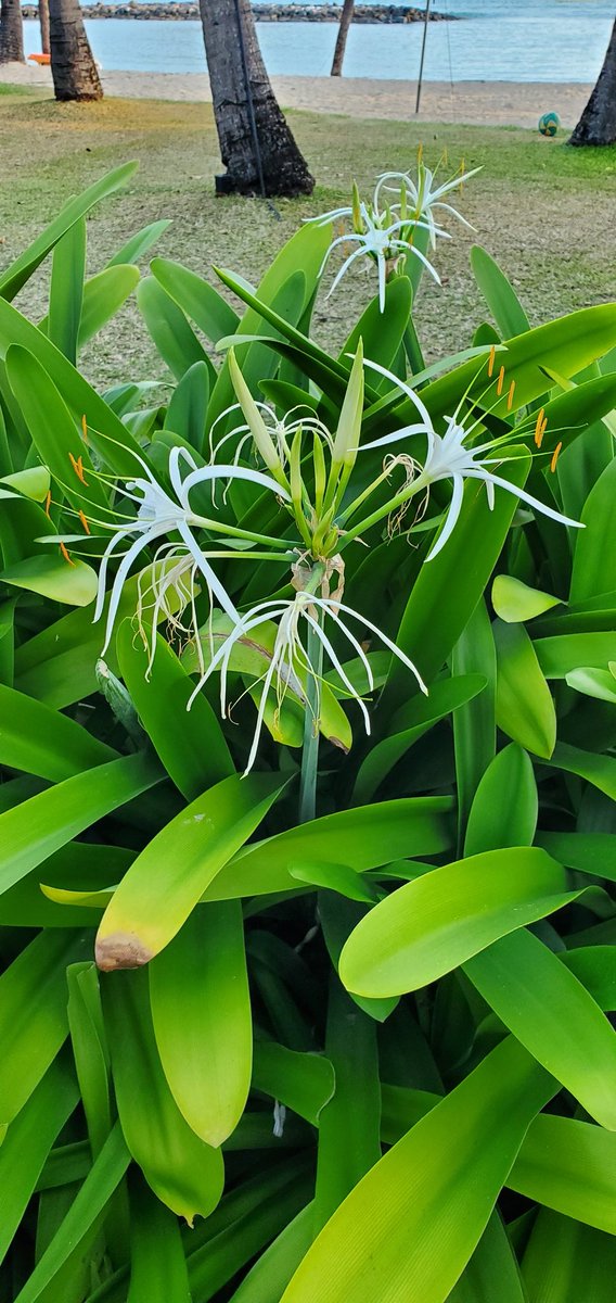 Guten Abend Ihr Lieben