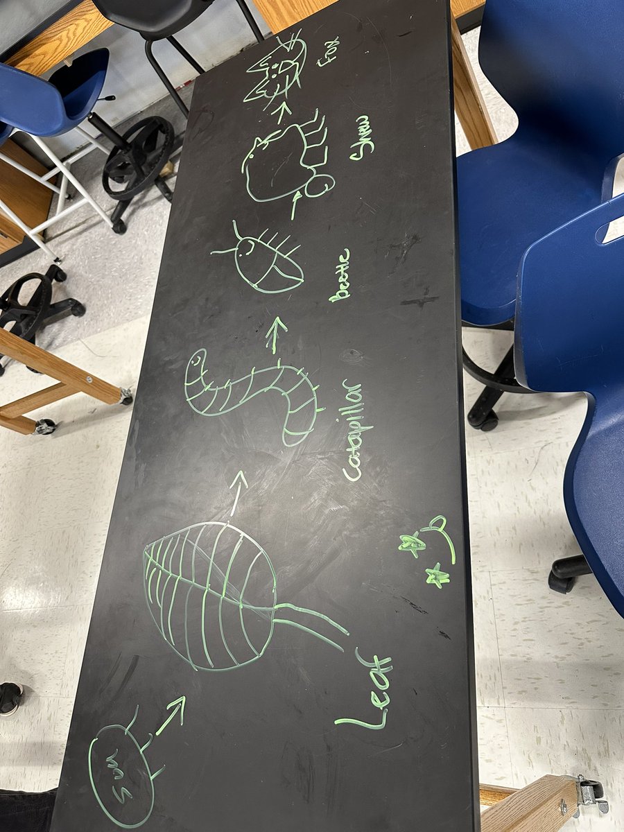 Food chains + table graffiti.   Kids get a kick out of this every year!