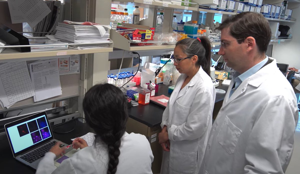 Kidney Research Institute (@kidneyresinst) on Twitter photo #Researchers with specialized expertise, #Scientists, and #Biostaticians are working on multiple studies at KRI <a href="/KidneyResInst/">Kidney Research Institute</a>. We break silos and accelerate innovative science <a href="/uwmedicine/">UW Medicine</a> <a href="/UWNephrology/">UW Nephrology</a>
Check out our list of Active Studies: kri.washington.edu/studies #Researchers with specialized expertise, #Scientists, and #Biostaticians are working on multiple studies at KRI <a href="/KidneyResInst/">Kidney Research Institute</a>. We break silos and accelerate innovative science <a href="/uwmedicine/">UW Medicine</a> <a href="/UWNephrology/">UW Nephrology</a>
Check out our list of Active Studies: kri.washington.edu/studies