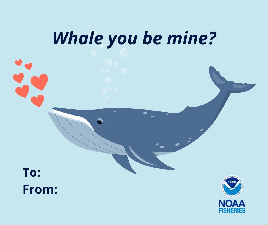 Instead of balloons this year, share your love with our punny Valentines Day cards! They’re shore to reel in a Valentine for you this year—hook, line, and sinker🪝🌊! Link here👇
marinedebris.noaa.gov/multimedia/pho…

Marine Debris Photo: marinedebris.noaa.gov/multimedia/pho…
