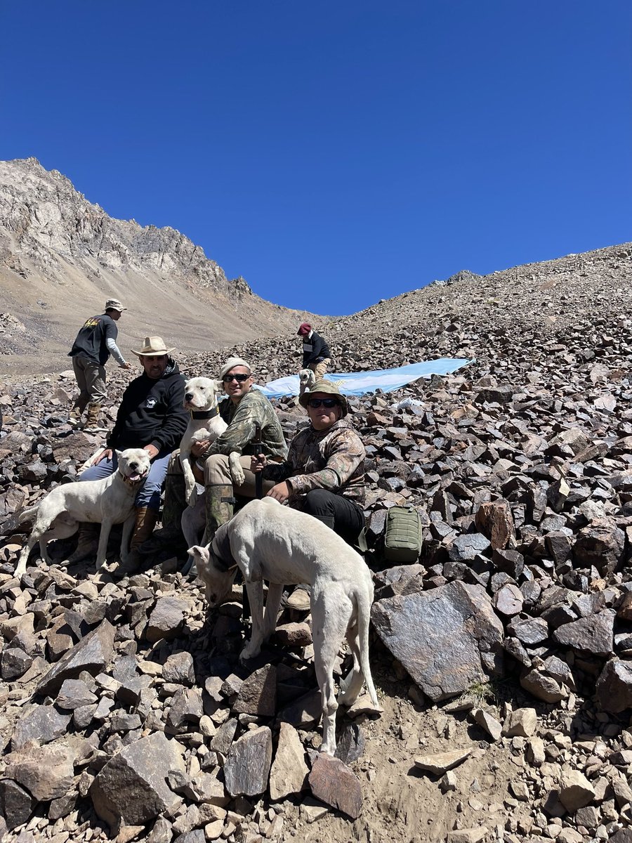 emilianosordiOK's tweet image. Hace casi un año cruzamos la cordillera por primera vez en la historia con dogos argentinos, estamos buscando una nueva aventura para este año, de los esteros del íbera ya nos dijeron que no. Que travesía nos recomiendan???  (La matanza no porque esteros muy peligroso para los…