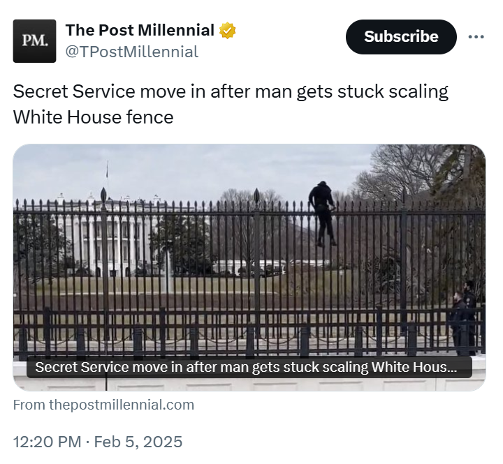 Jack Posobiec tweet media