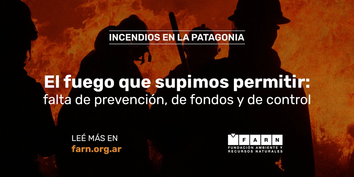 Los incendios forestales son una historia de desidia, falta de control y financiamiento adecuado.

El fuego devasta ecosistemas vitales. Afecta a las comunidades que habitan a su alrededor, genera una pérdida de biodiversidad y contribuye al agravamiento de la crisis climática.
