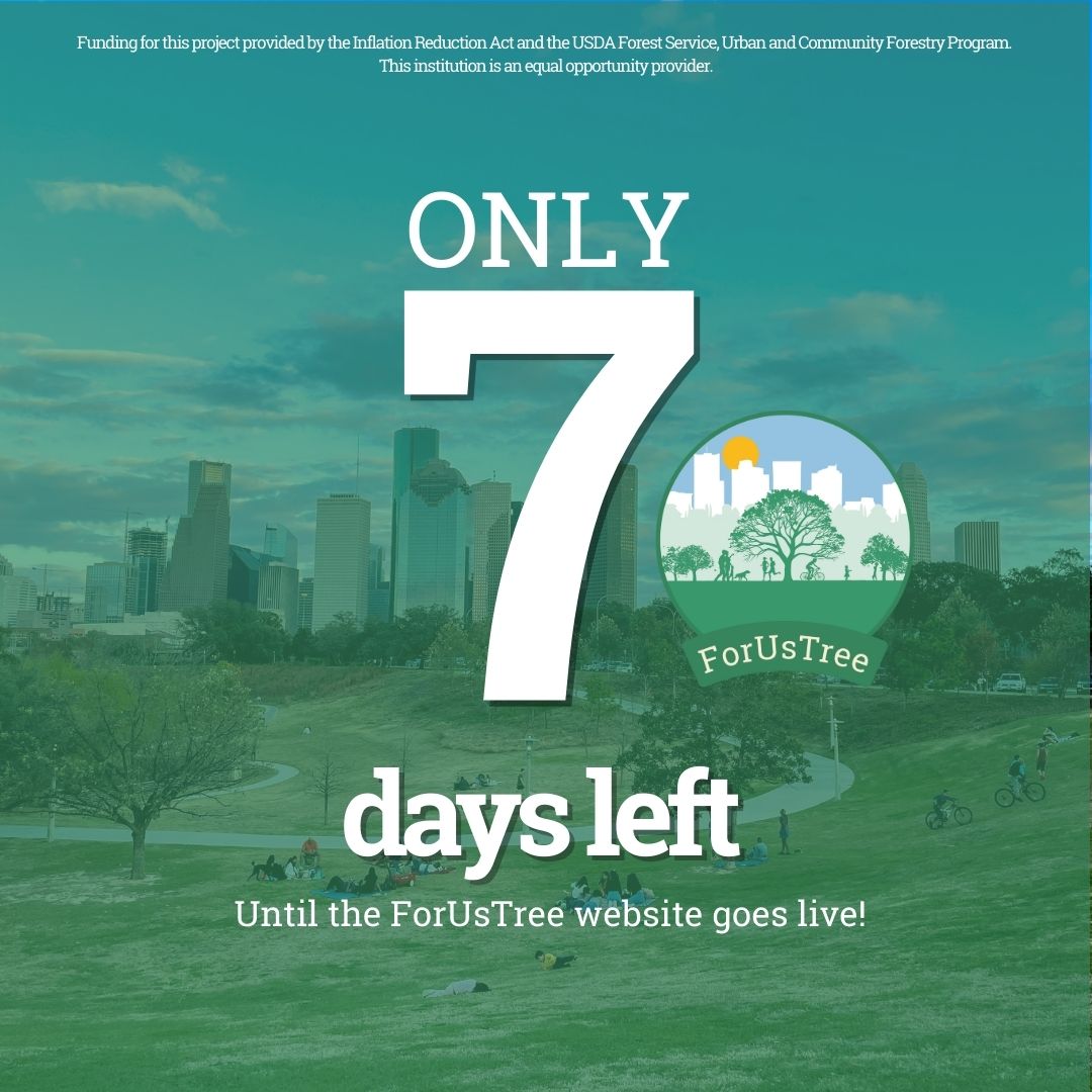 HARCresearch's tweet image. 🌡️Mapping the Heat, Planting the Solution!🌳 By identifying hot spots, we can prioritize planting 
projects in neighborhoods that need cooler, greener spaces the most. ForUsTree website launch is coming in 7 days. #ForUsTree #UrbanHeat