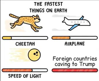 KJW (@hawkesbay69) on Twitter photo 