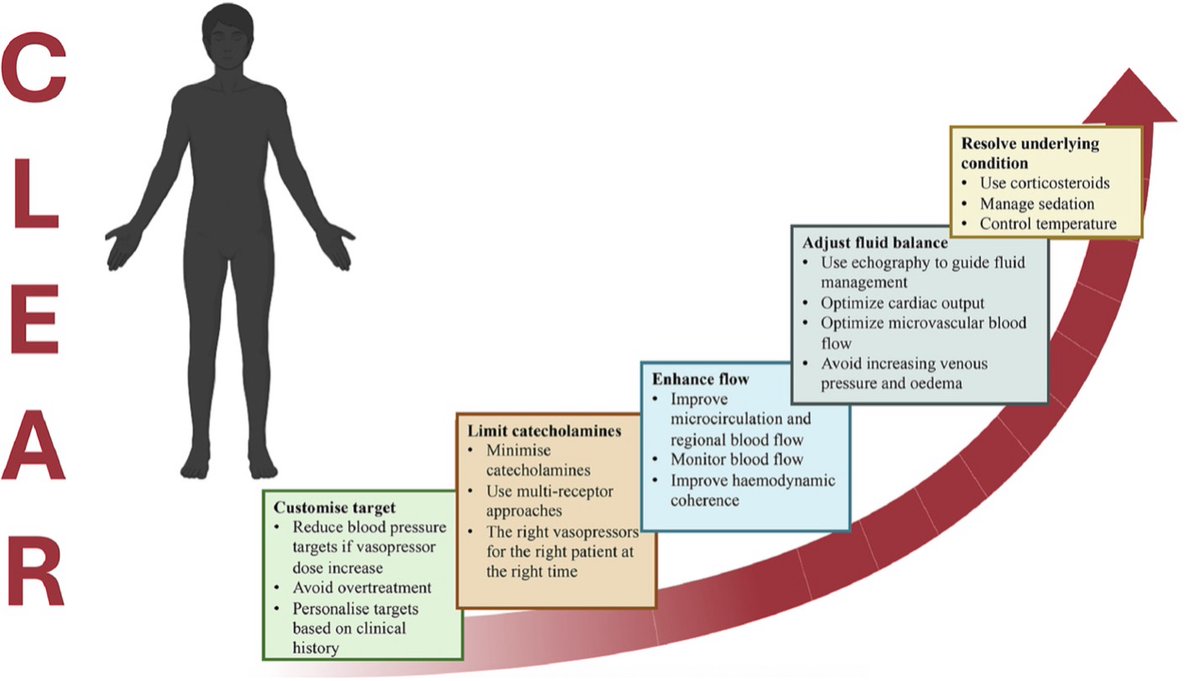 Protective Hemodynamics: The C.L.E.A.R. approach aims at minimizing iatrogenic harm, improving long-term patient outcomes and advocates for a shift from rigid numerical targets to a more nuanced, patient-centric strategy. #hemodynamics #cardiacsurgery
jcvaonline.com/article/S1053-…