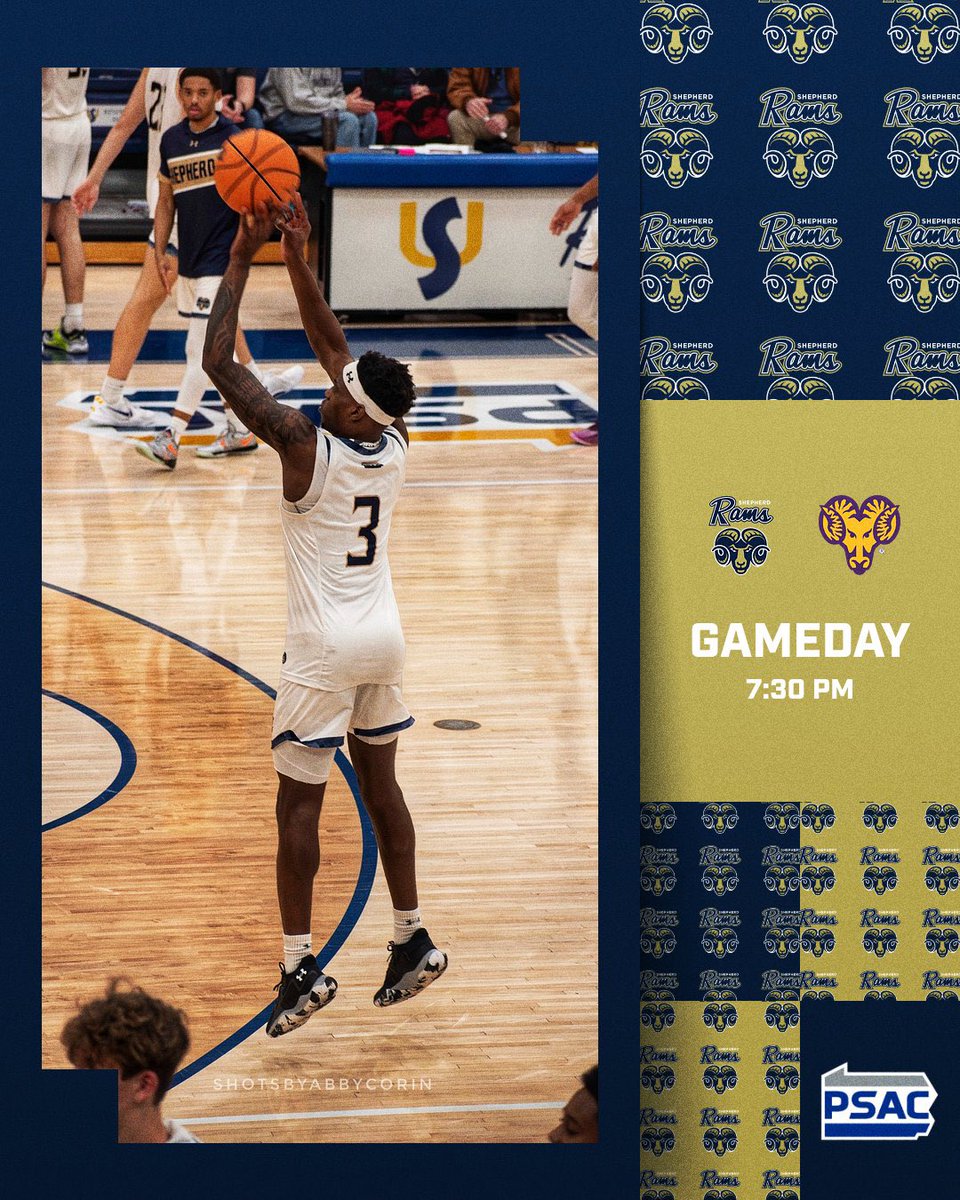 Shepherd Basketball (@suramshoops) on Twitter photo 