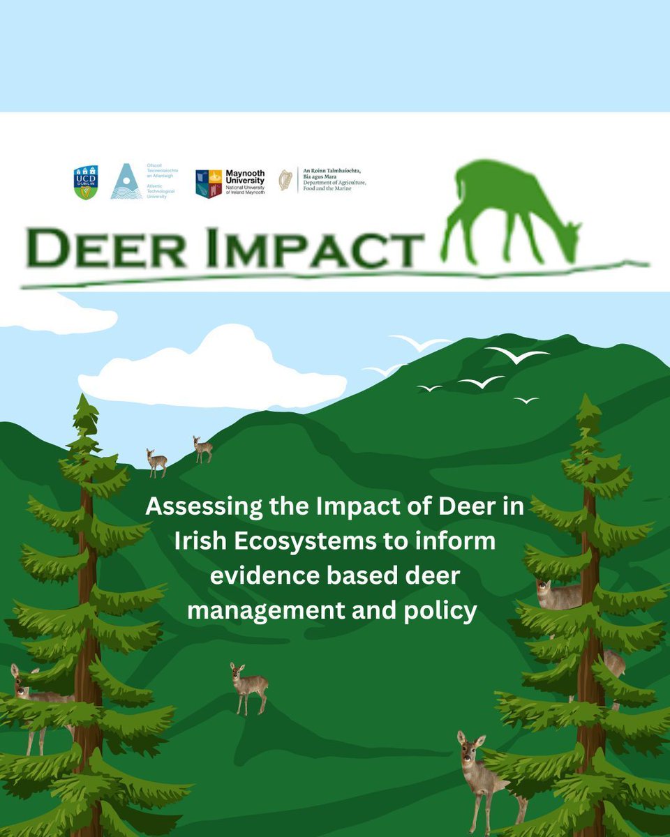 WicklowUplands's tweet photo. 🌿 is delighted to support the #research efforts of the #DeerIMPACT Project. Headed by UCD in partnership with Maynooth and ATU 🦌Deer-Human-Ecosystem conflicts are well-documented, and addressing them is critical for Ireland’s biodiversity and agricultural outputs. #evidencebase https://t.co/AVk704xHXL