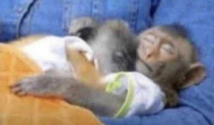 yo solo quiero estar así con él