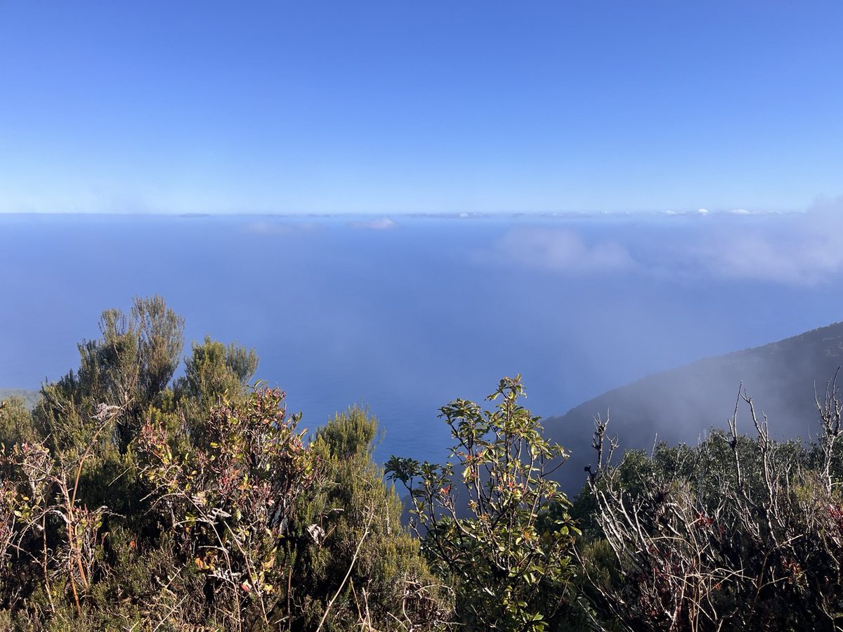 reflectionwalks's tweet image. Nothing to see here...but look! It could be a start with meditation. Look twice and digest. Emptiness is holy...