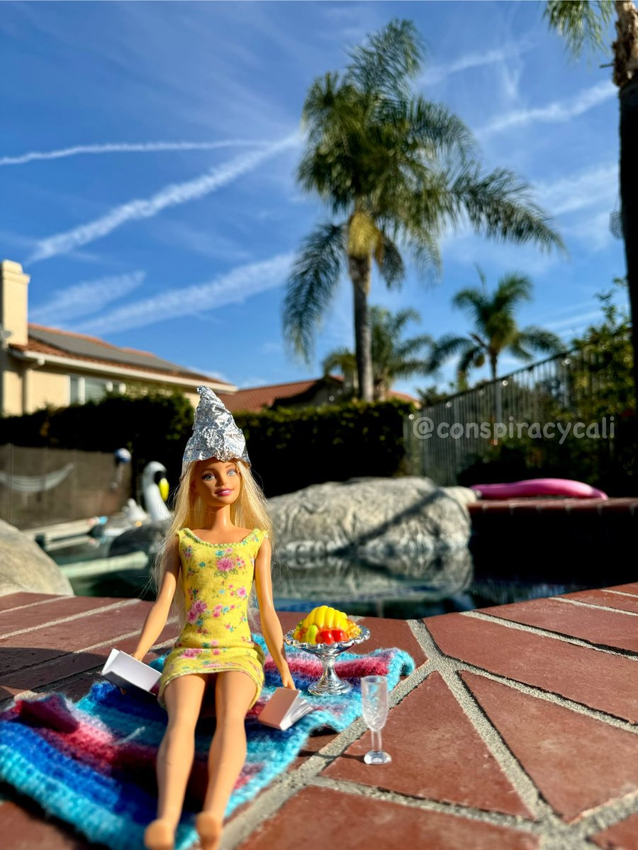 Conspiracy Cali tweet media