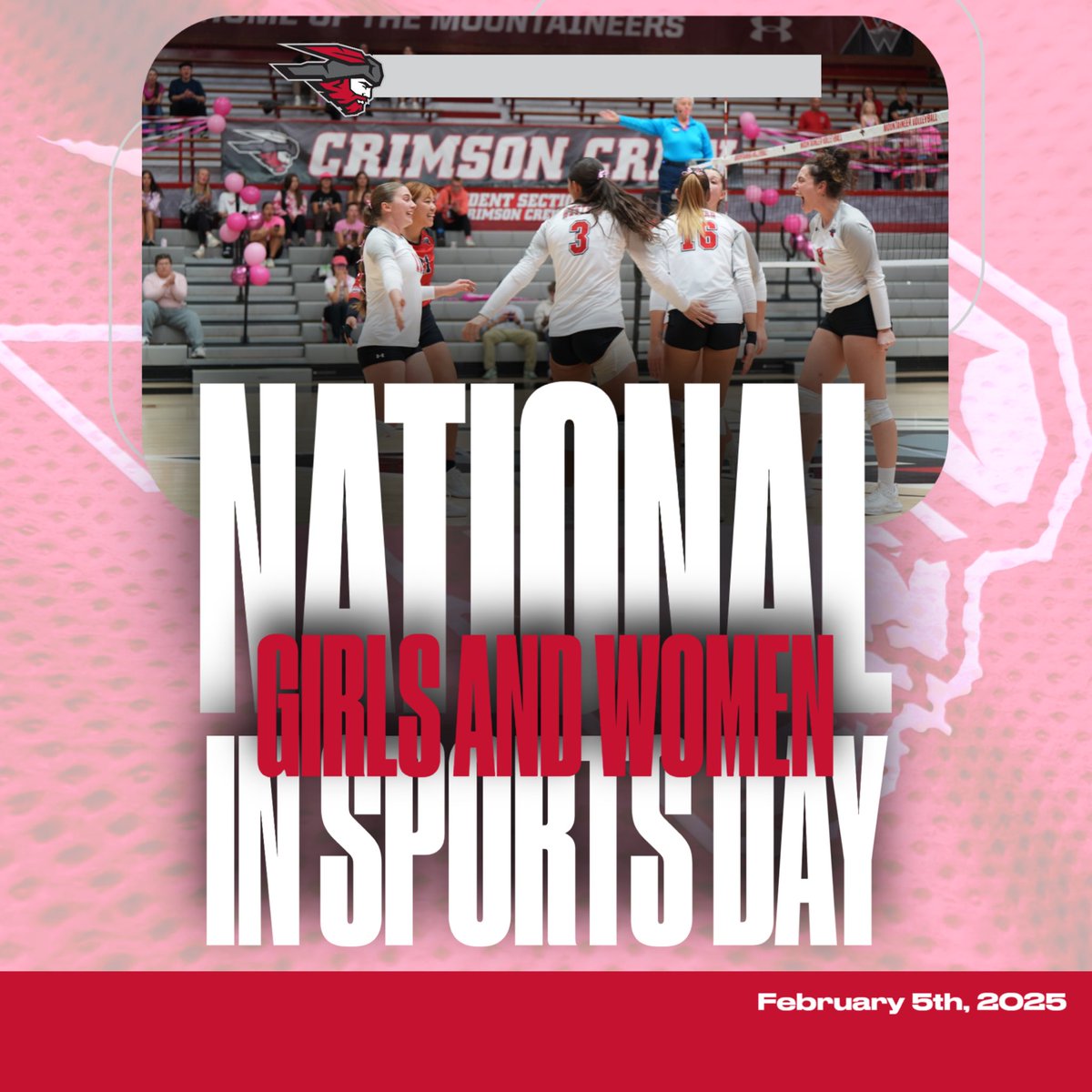 Western Colorado Volleyball tweet media