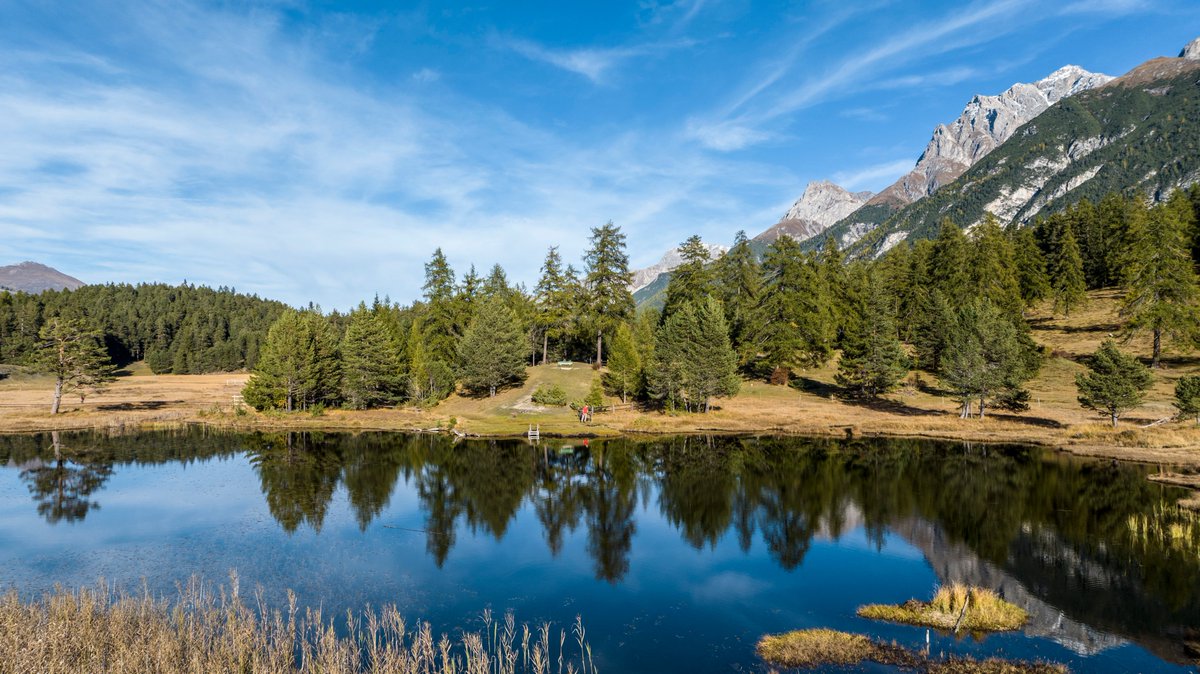 reflectionwalks's tweet image. Frühling steht vor der Türe. Neue Impulse reflektieren. In Bezug setzen mit dem, was Du bisher erlebt hast. Beim Gehen kommen Erinnerungen und Gedanken in Schwung. Die Vielfalt der Wege ist sehr gross. Finde Dein Format im Vorgespräch heraus.