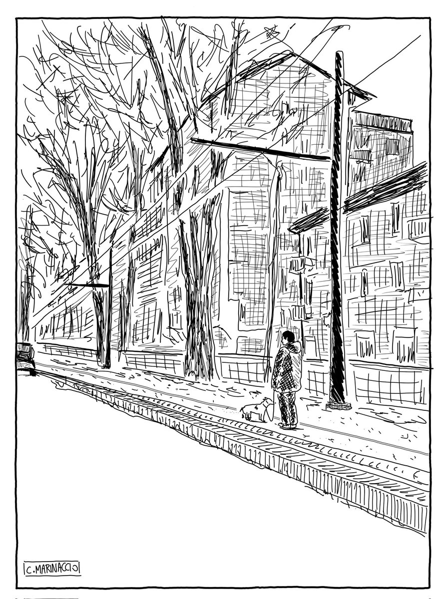 Torino, Corso Regina. Luogo di congiunzione di tante culture e classi sociali. E dove, lungo i binari del tram, la gente porta i cani a cagare senza la preoccupazione di dover pulire.