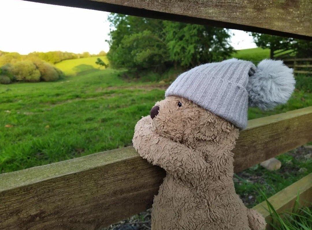 called sick at work not because i was actually ill but because i wanted to rest