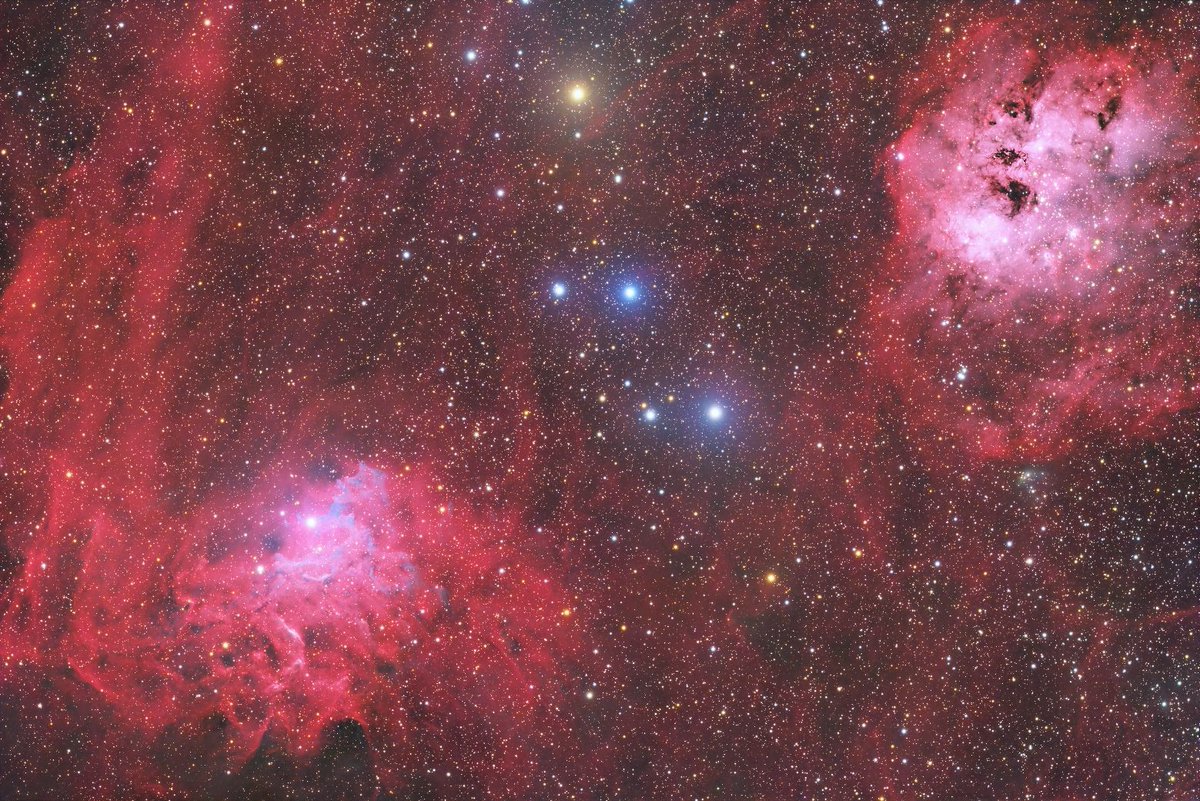 This dynamic image of the Flaming Star and Tadpole nebulae was taken by group member "Pheonix". This is ~14hrs of data of RGB and Duo-band imaging. Giving it that deep red from the Ha and true color stars. 
We'd love to have you in our astro group! Check the link in Bio.