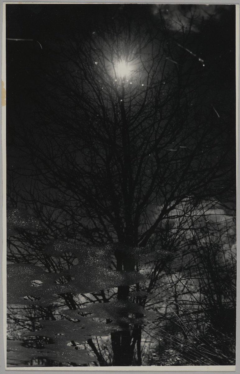 BM: Photography (Bot) tweet media