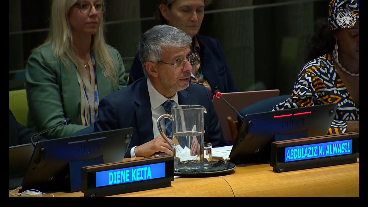 EQL_Nationality's tweet photo. At UN #ECOSOCForum #SaudiArabia's UN Rep Abdulaziz Alwasil calls for action to end discrimination against women.

This *requires* ending gender discrimination in nationality laws. 

Equal nationality laws are essential equality &amp; the SDGs.  #SDG5 #Beijing30 @ksamissionun https://t.co/mX3YWxZVSt