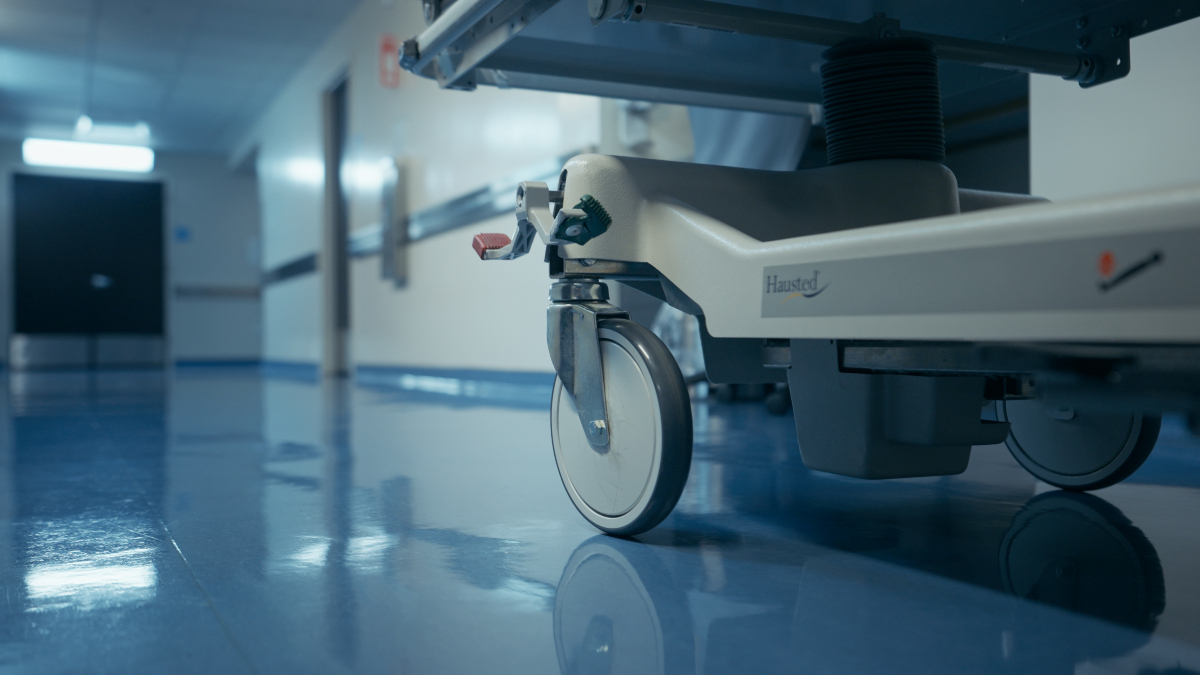 AP | Video & Animation tweet media