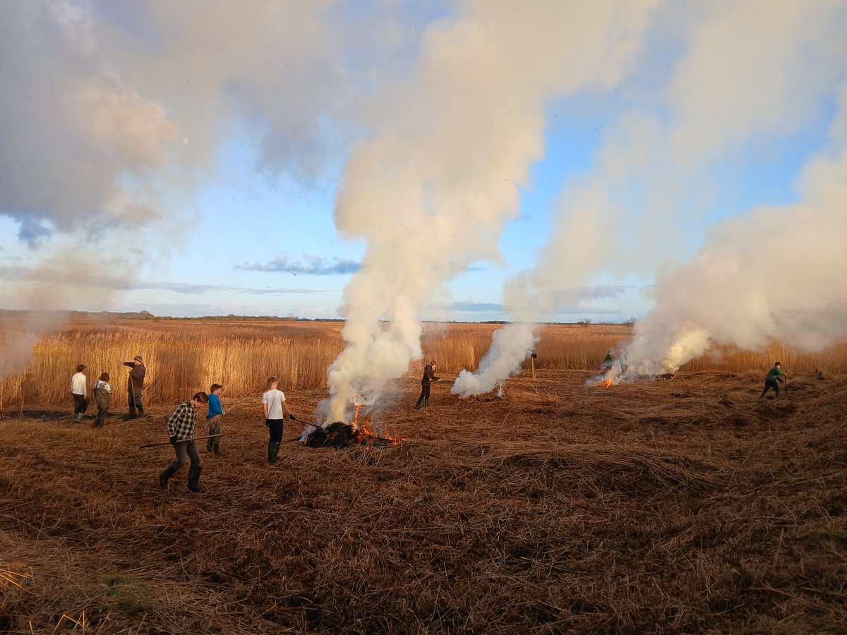 NorfolkWT's tweet photo. Our young wardens taking the future of our wild spaces into their own hands 💪

Thanks to these meddling kids, the mix of reed age at Hickling will continue to support a wide variety of species another day 😌 https://t.co/nP8CF2Apck