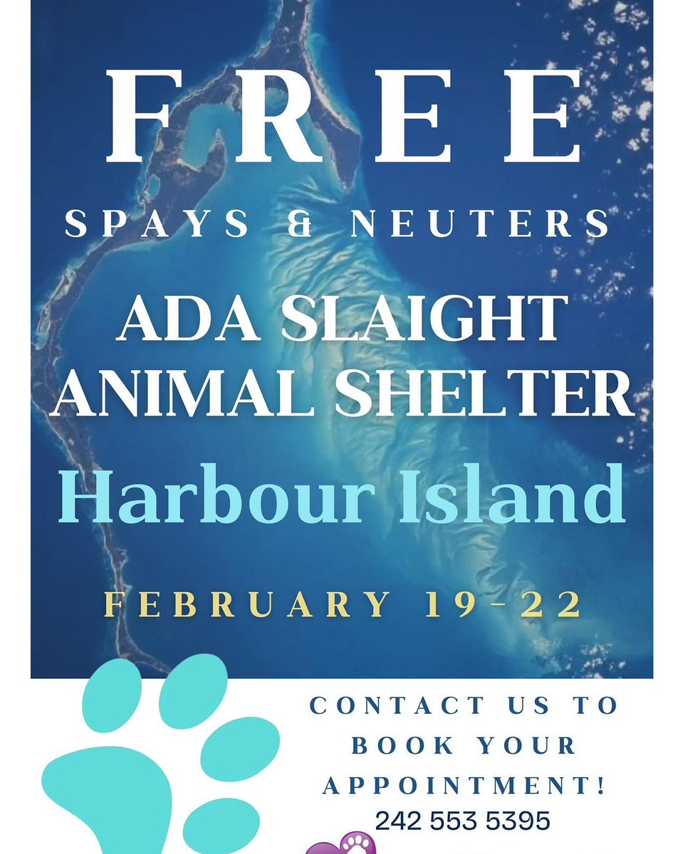 PotcakeNFT's tweet image. Free Spay and Neuter Clinic Coming to Harbour Island, Bahamas February 19-22!

BAARK! will be onsite with their amazing volunteer crew. Set up your appointments now to take advantage of this great opportunity.

🇧🇸 Call 242-553-5395 to schedule your appointment

#Potcake